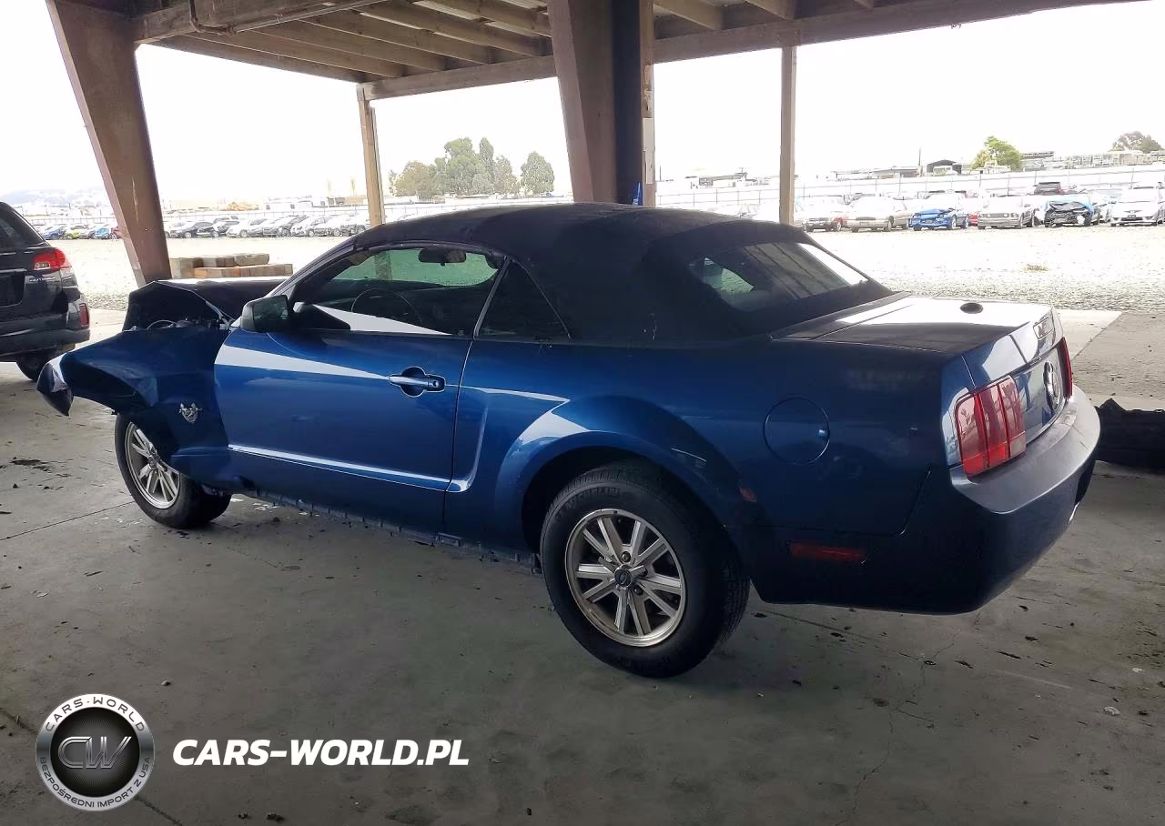 2009 Ford Mustang VIN:1ZVHT84N495134568 - 2