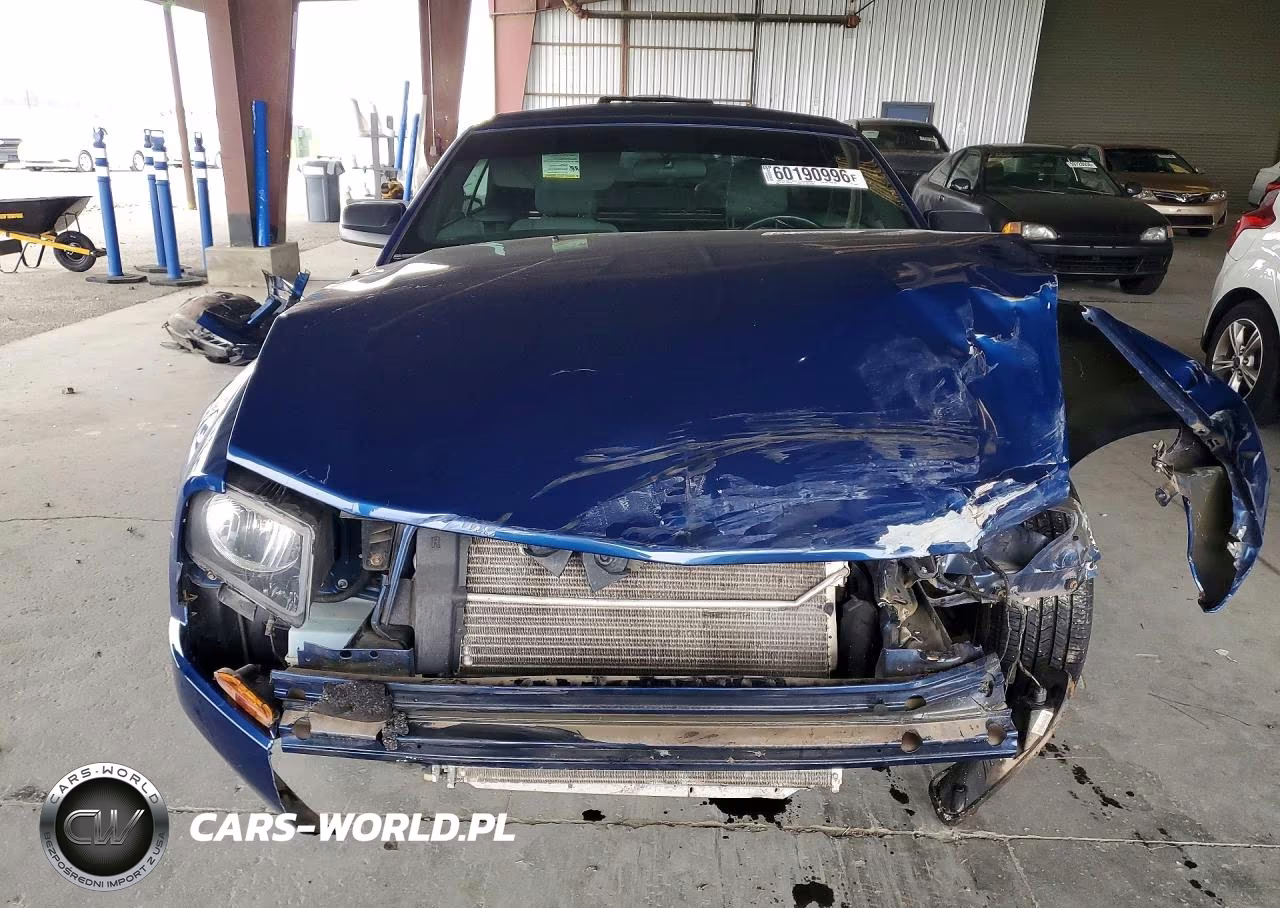 2009 Ford Mustang VIN:1ZVHT84N495134568 - 5