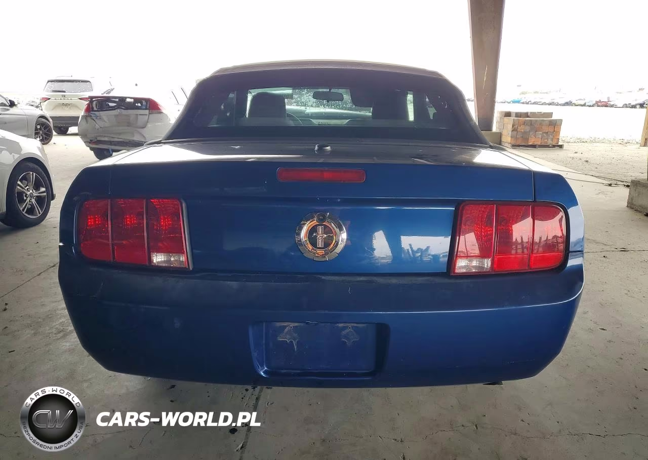 2009 Ford Mustang VIN:1ZVHT84N495134568 - 6
