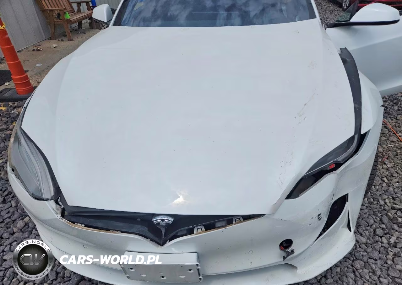 2021 Tesla Model S VIN:5YJSA1E53MF429270 - 11