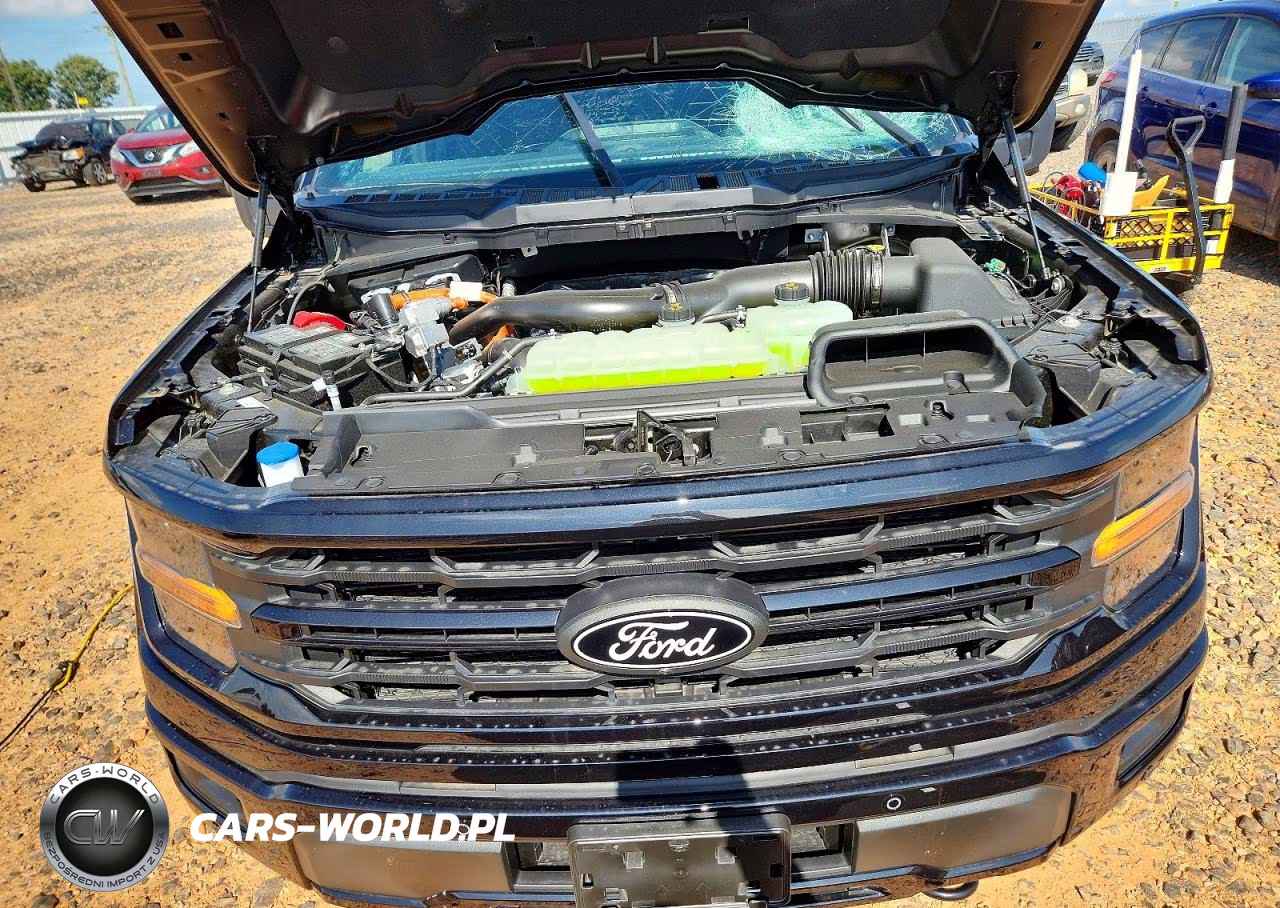 2025 Ford F150 Xlt VIN:1FTFW3LD2SFC34679 - 11