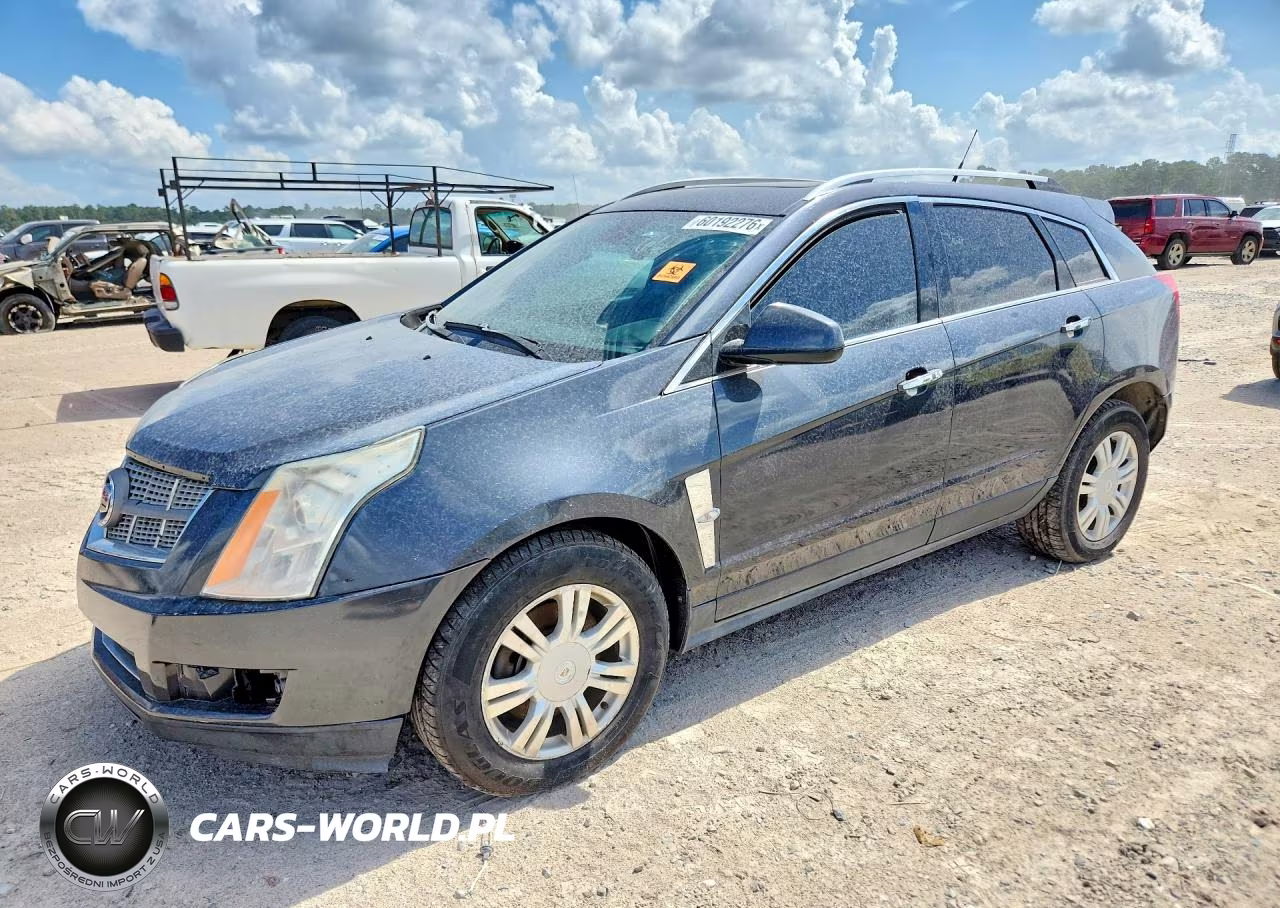 2011 Cadillac Srx Luxury Collection VIN:3GYFNDEYXBS641227 - 1