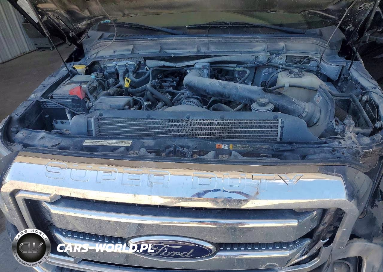 2016 Ford F250 Super Duty VIN:1FT7W2B64GEB14350 - 11