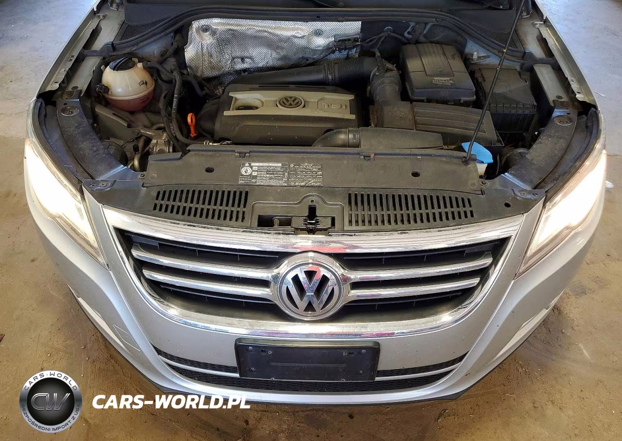 2009 Volkswagen Tiguan S VIN:WVGAV75N59W505332 - 12