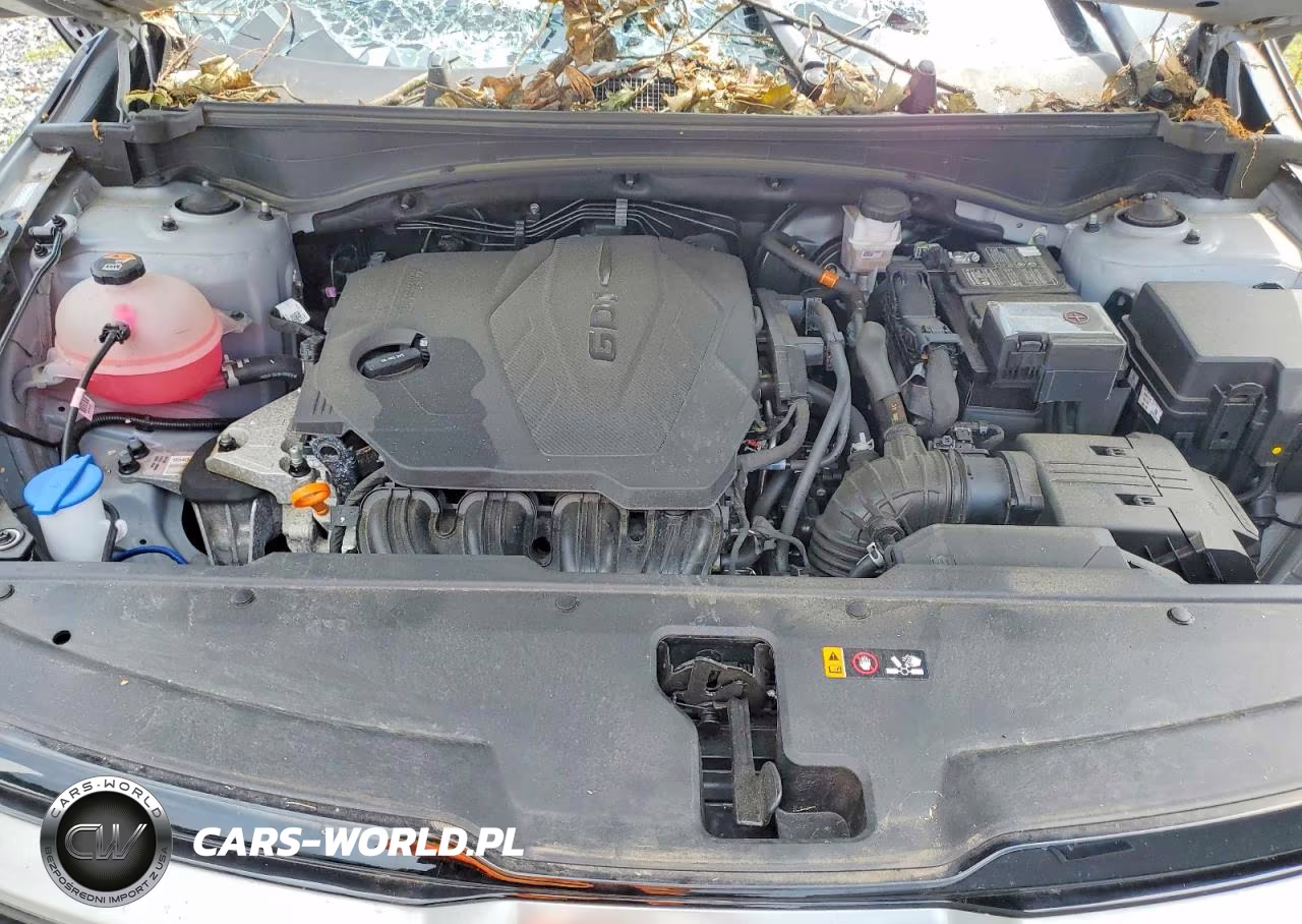 2024 Kia Sportage X Line VIN:5XYK6CDFXRG223287 - 12