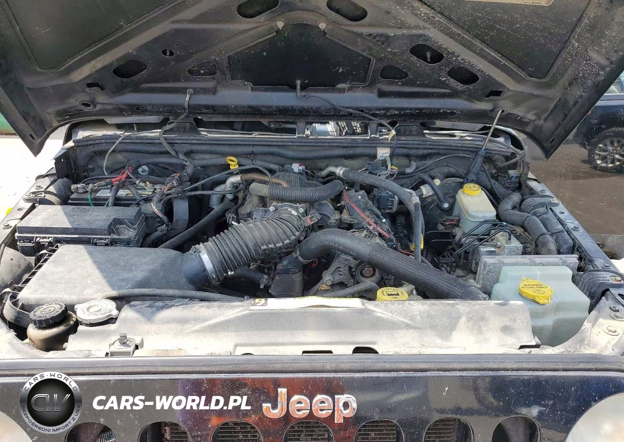 2009 Jeep Wrangler Sahara VIN:1J4FA54179L700644 - 11