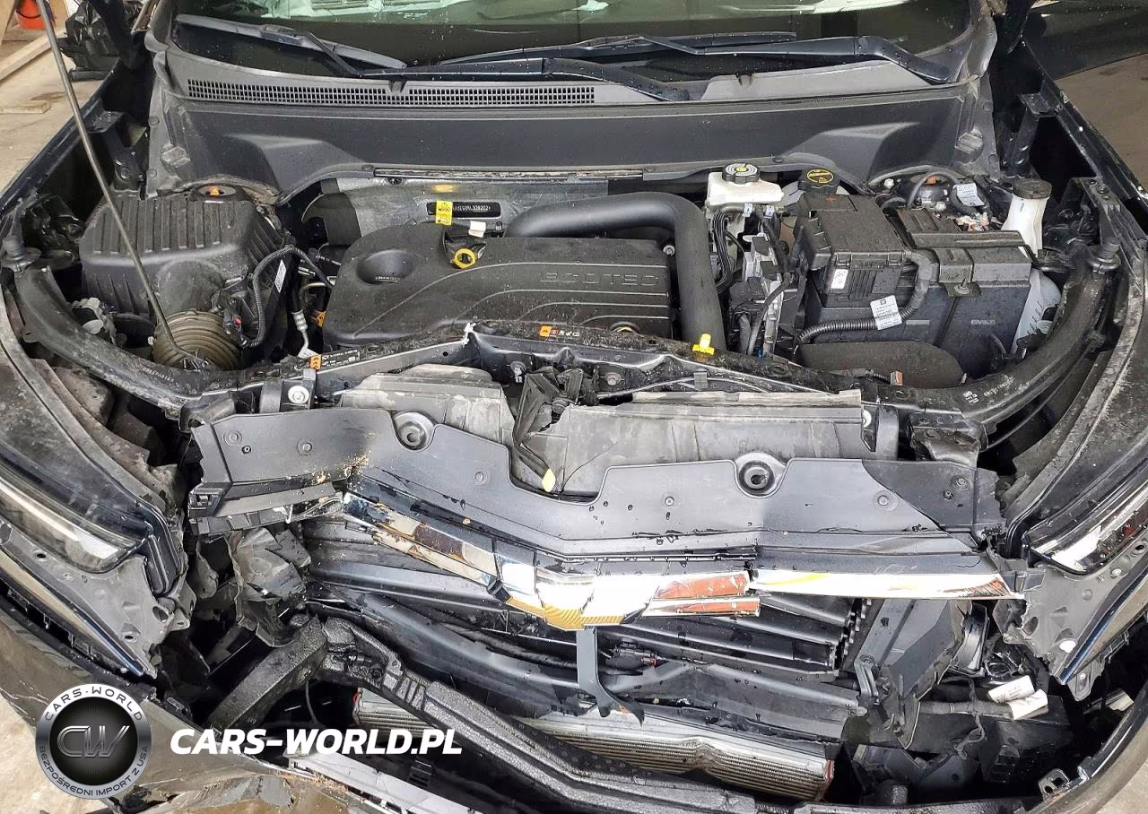 2024 Chevrolet Equinox Lt VIN:3GNAXUEG0RL328202 - 12