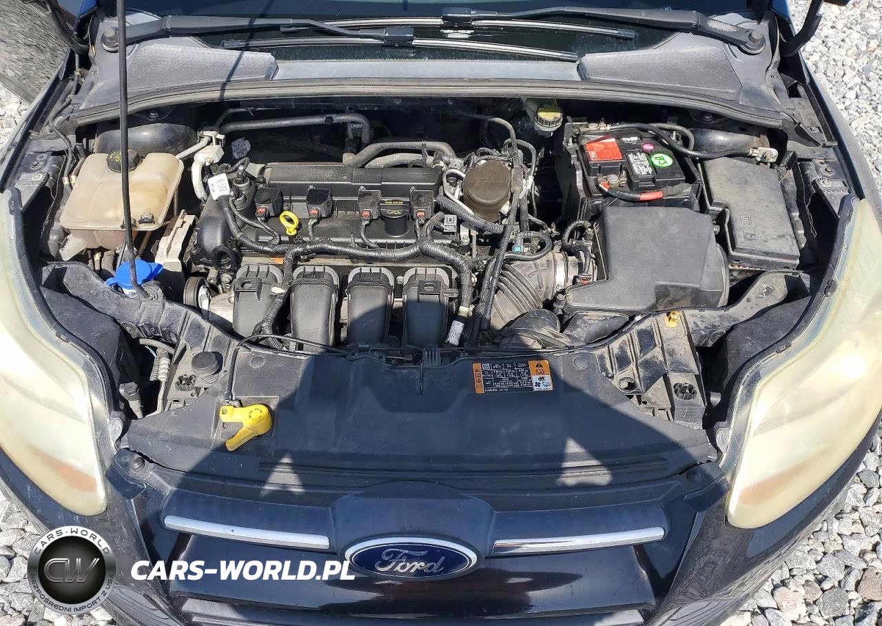 2014 Ford Focus Se VIN:1FADP3K22EL313883 - 11