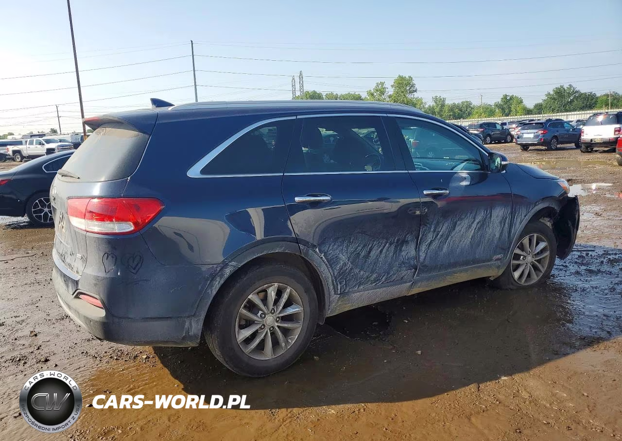 2017 Kia Sorento Lx VIN:5XYPGDA34HG201741 - 3