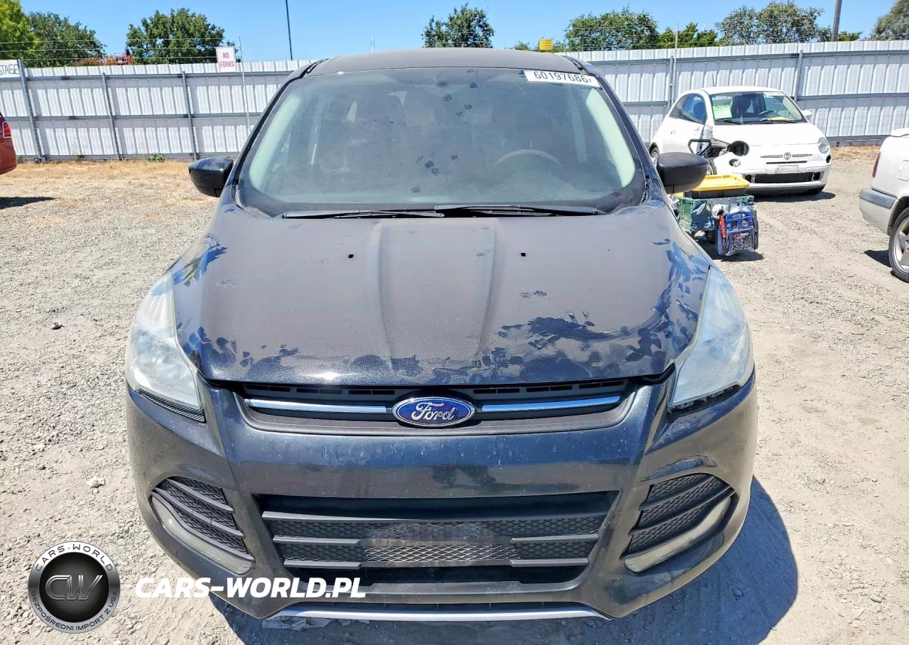 2014 Ford Escape Se VIN:1FMCU0GX8EUB81705 - 5