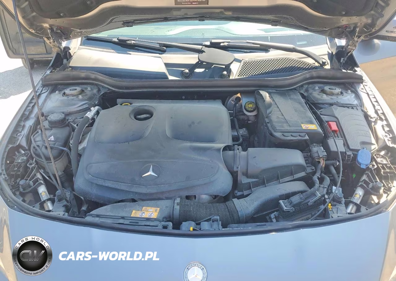 2014 Mercedes-Benz Cla 250 VIN:WDDSJ4EB9EN028421 - 11