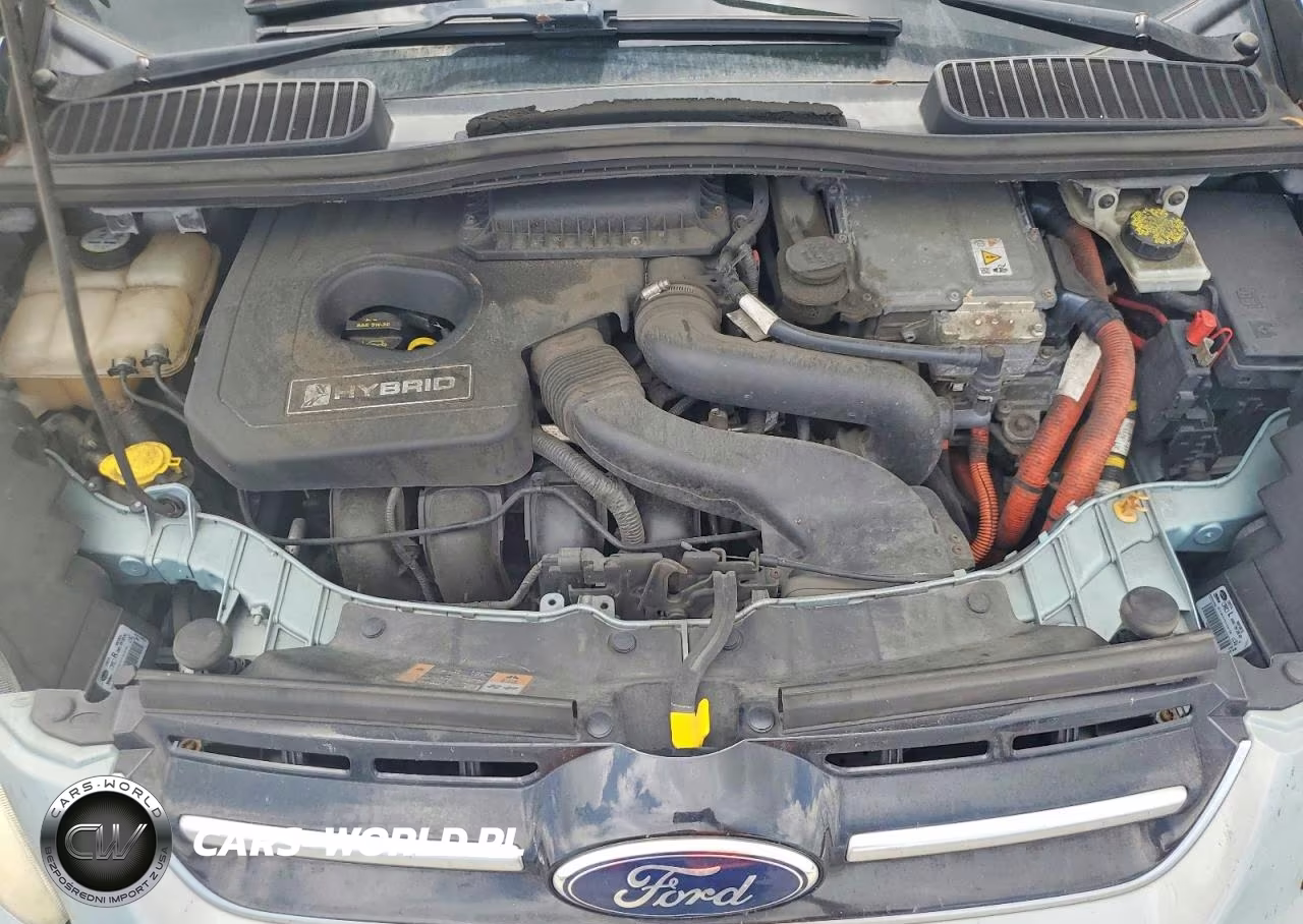 2013 Ford C-Max Sel VIN:1FADP5BU4DL505088 - 12