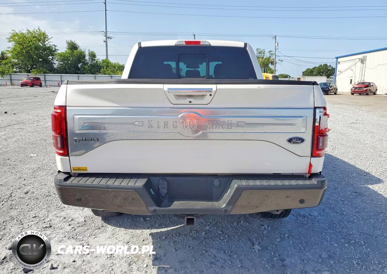 2017 Ford F150 Supercrew VIN:1FTEW1EF7HFA64181 - 6