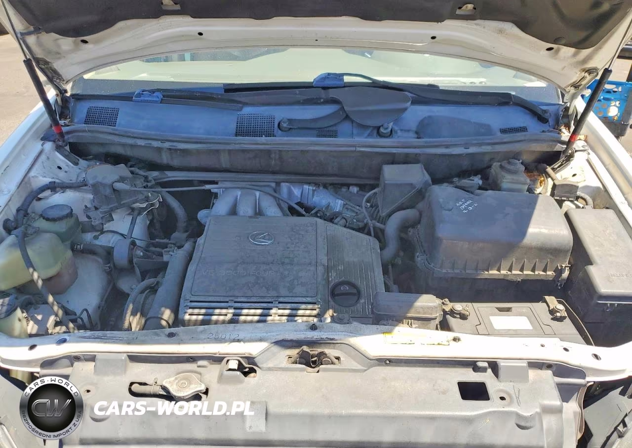2000 Lexus Rx 300 VIN:JT6HF10U3Y0107198 - 12