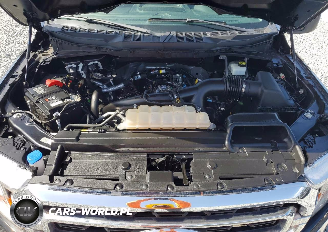 2023 Ford F150 Supercrew VIN:1FTEW1EP6PKE07822 - 11