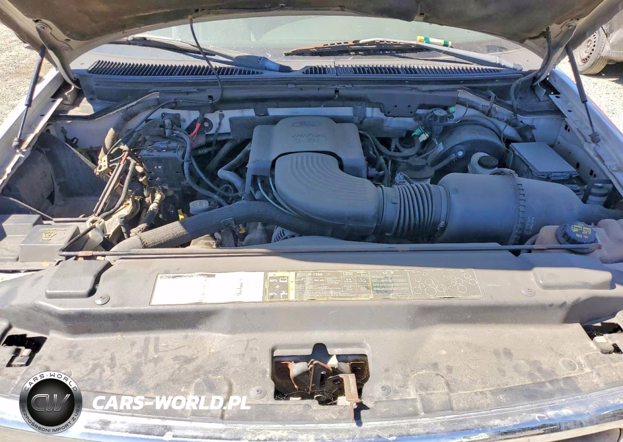 2002 Ford F150 VIN:1FTRX17W82NA93021 - 11