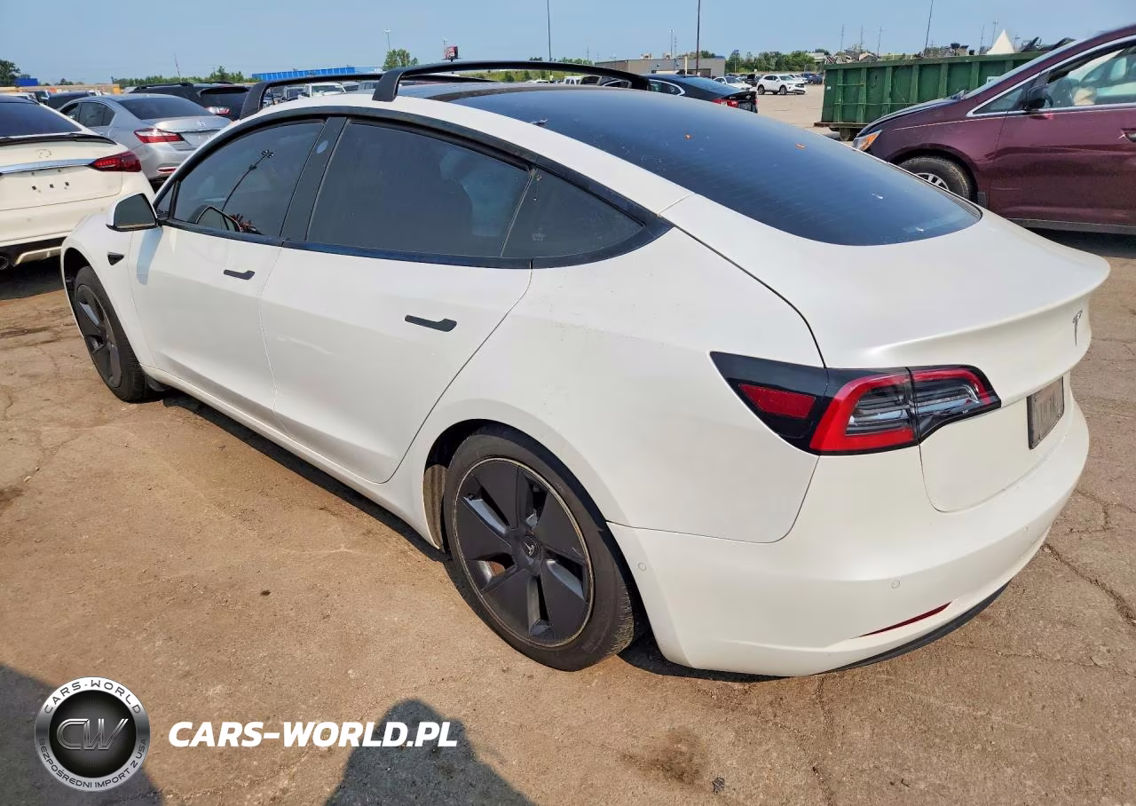 2021 Tesla Model 3 VIN:5YJ3E1EA1MF838213 - 2