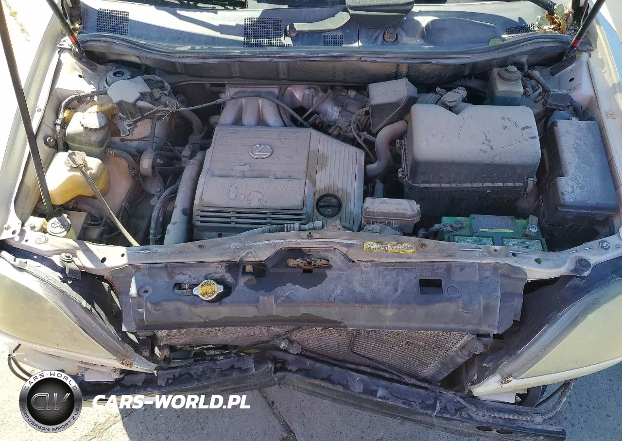 2000 Lexus Rx 300 VIN:JT6GF10U1Y0067327 - 12