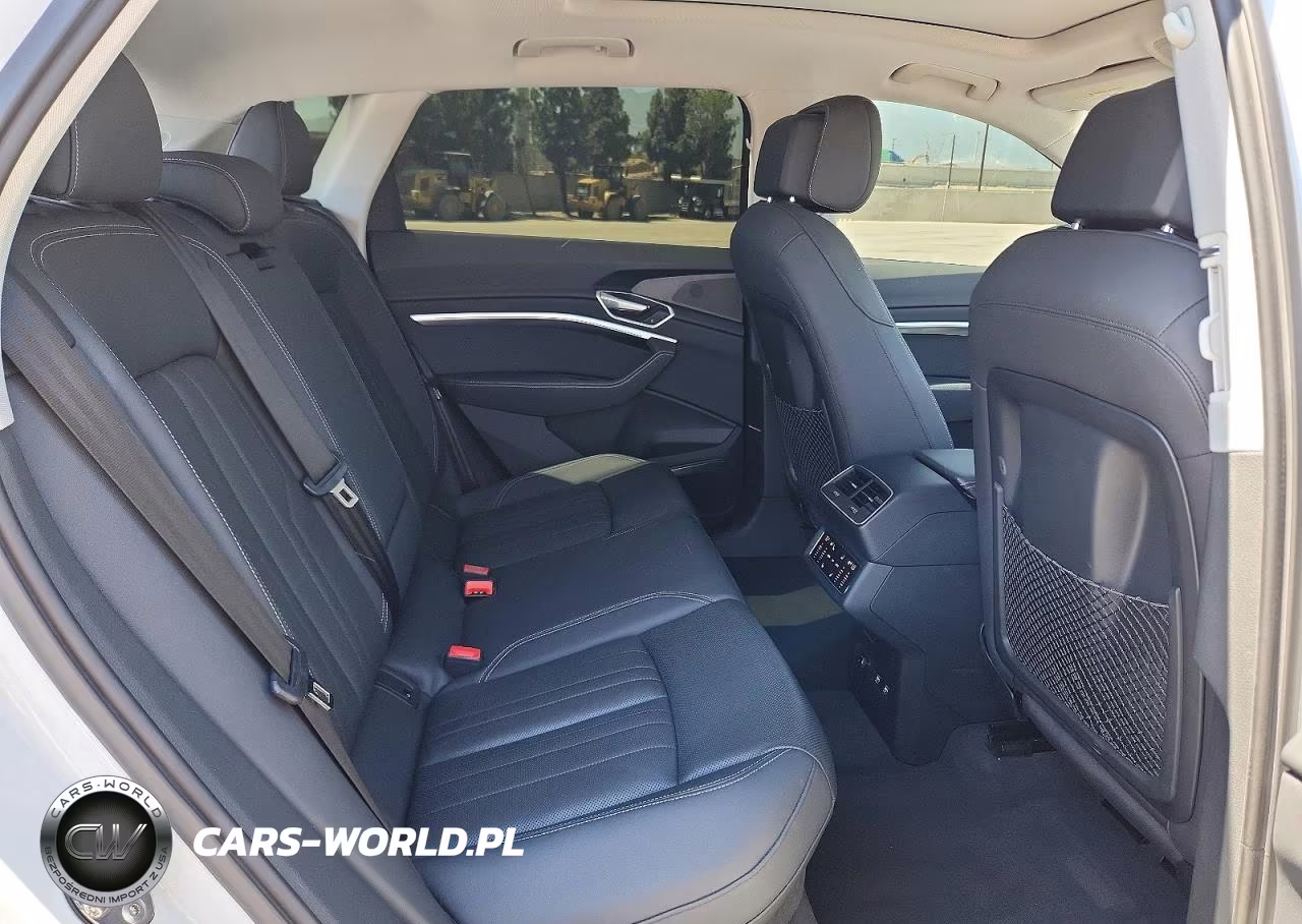 2019 Audi E-Tron Premium Plus VIN:WA1LAAGE6KB005397 - 10
