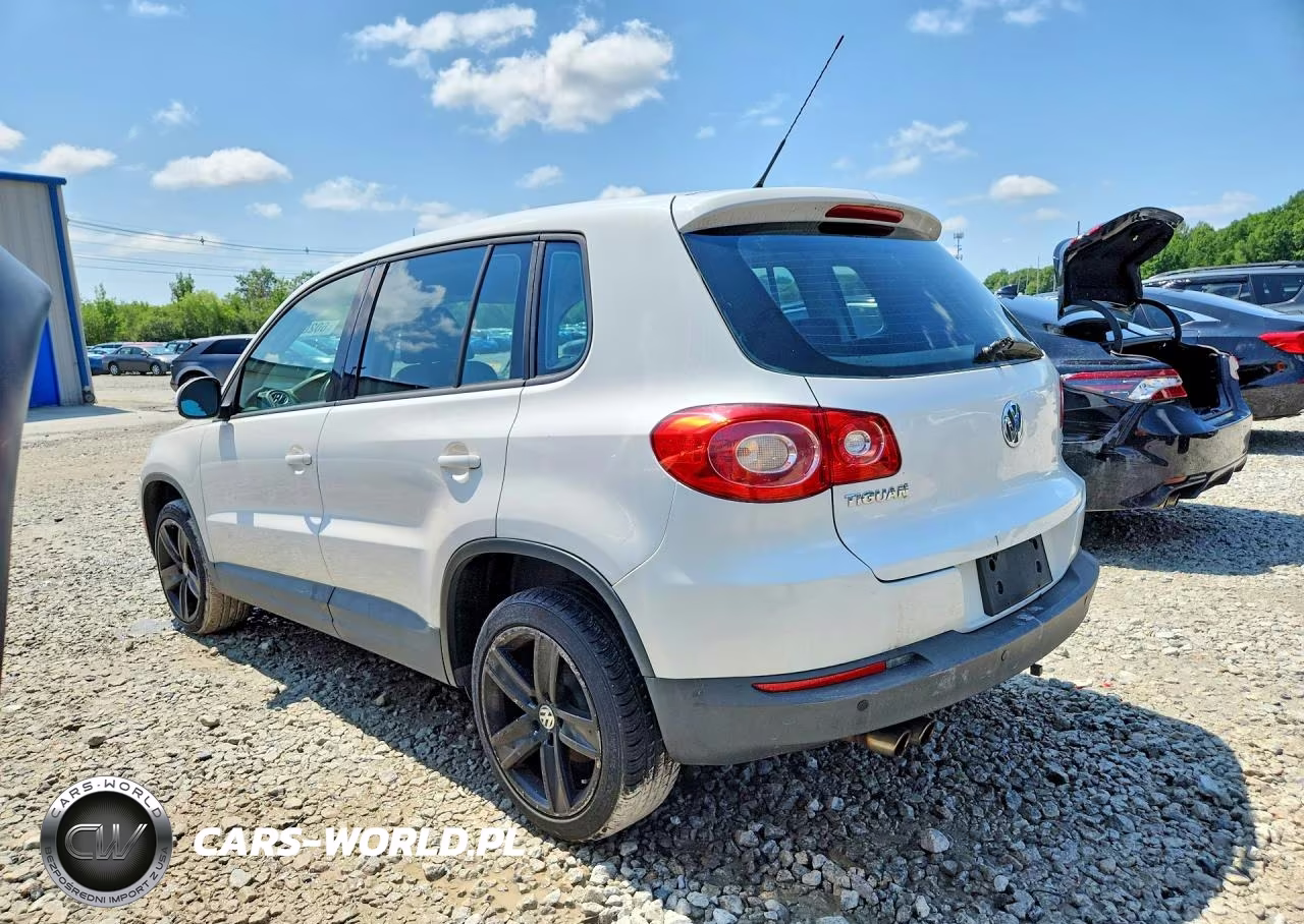 2011 Volkswagen Tiguan S VIN:WVGBV7AX9BW543227 - 2