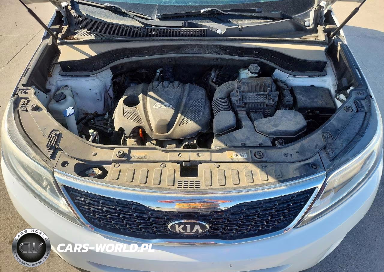 2014 Kia Sorento Lx VIN:5XYKT3A66EG475738 - 12