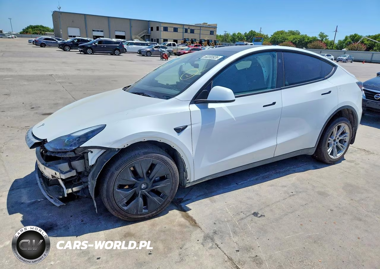 2023 Tesla Model Y VIN:7SAYGAEE9PF789384 - 1