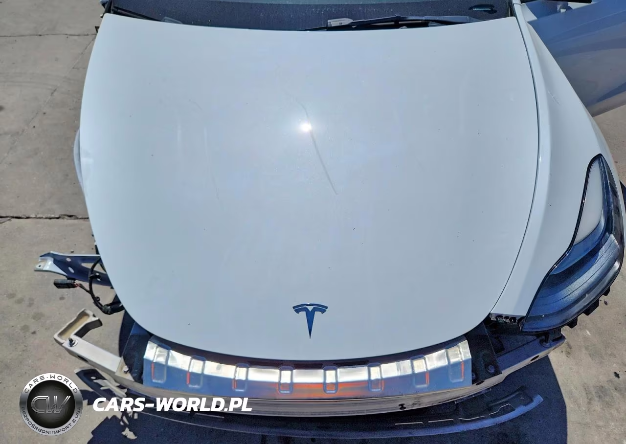 2023 Tesla Model Y VIN:7SAYGAEE9PF789384 - 11