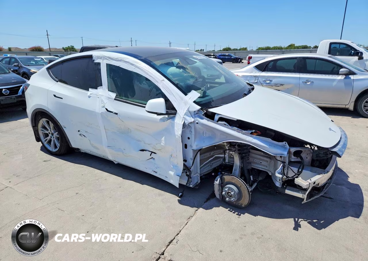 2023 Tesla Model Y VIN:7SAYGAEE9PF789384 - 4