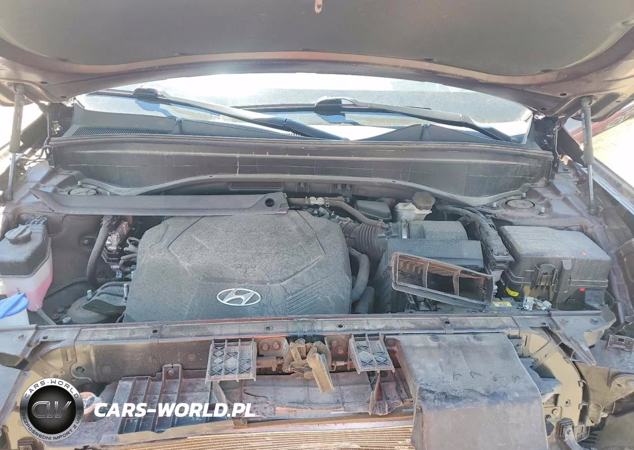 2021 Hyundai Palisade Limited VIN:KM8R54HE8MU283953 - 12