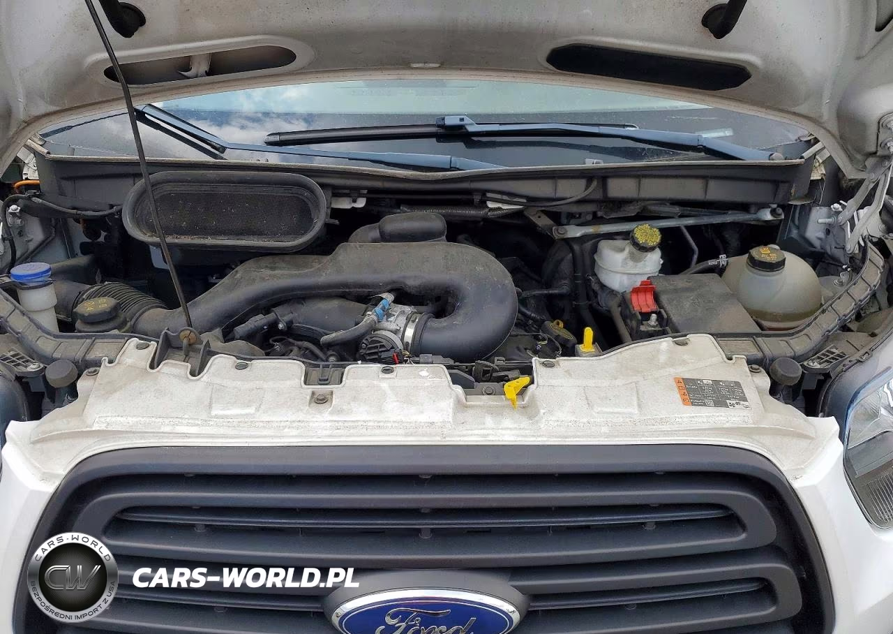 2019 Ford Transit T-250 VIN:1FTYR2CM7KKB82418 - 12