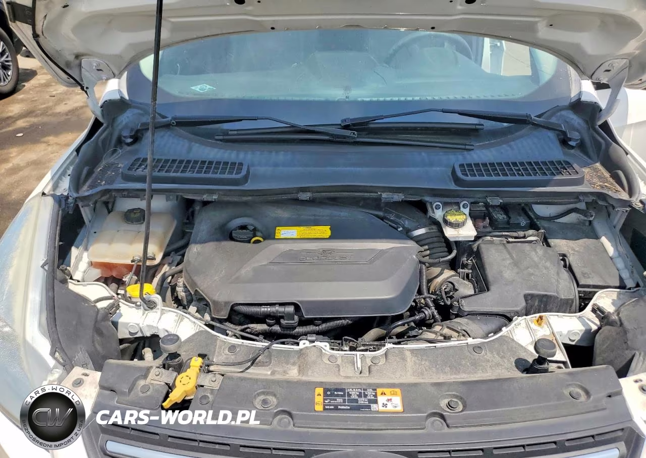 2016 Ford Escape Se VIN:1FMCU0GX4GUA83273 - 12