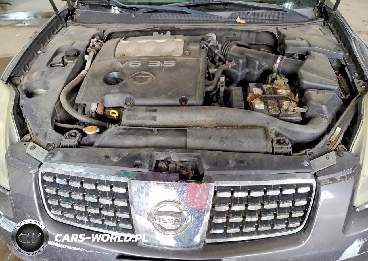 2006 Nissan Maxima VIN:1N4BA41EX6C828447 - 11