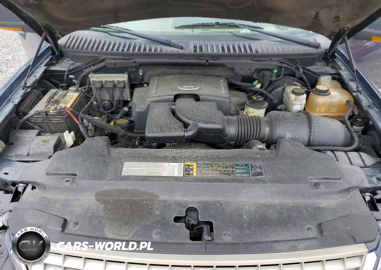 2003 Ford Expedition Eddie Bauer VIN:1FMFU17L53LA92094 - 12