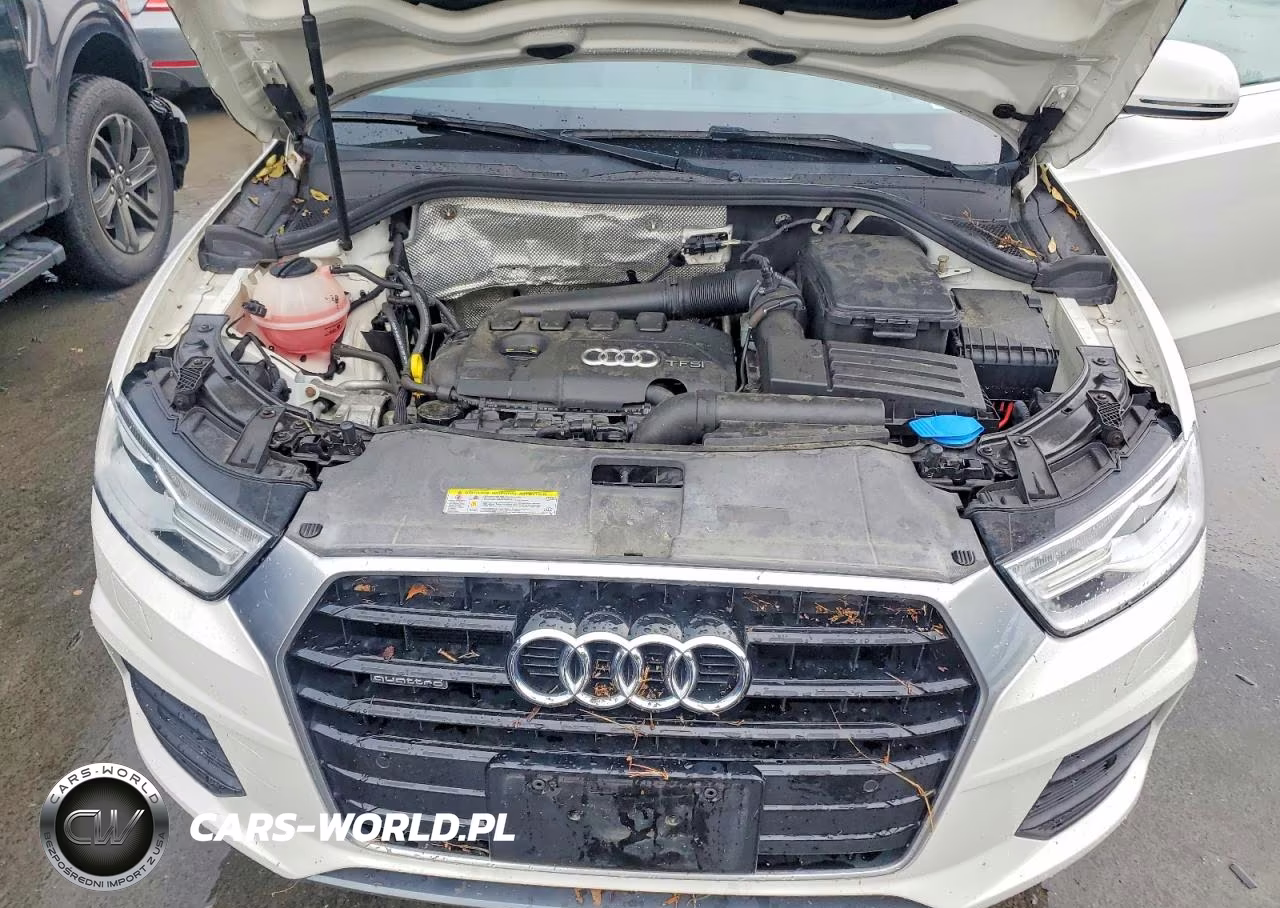 2017 Audi Q3 Premium Plus VIN:WA1JCCFS6HR010216 - 11
