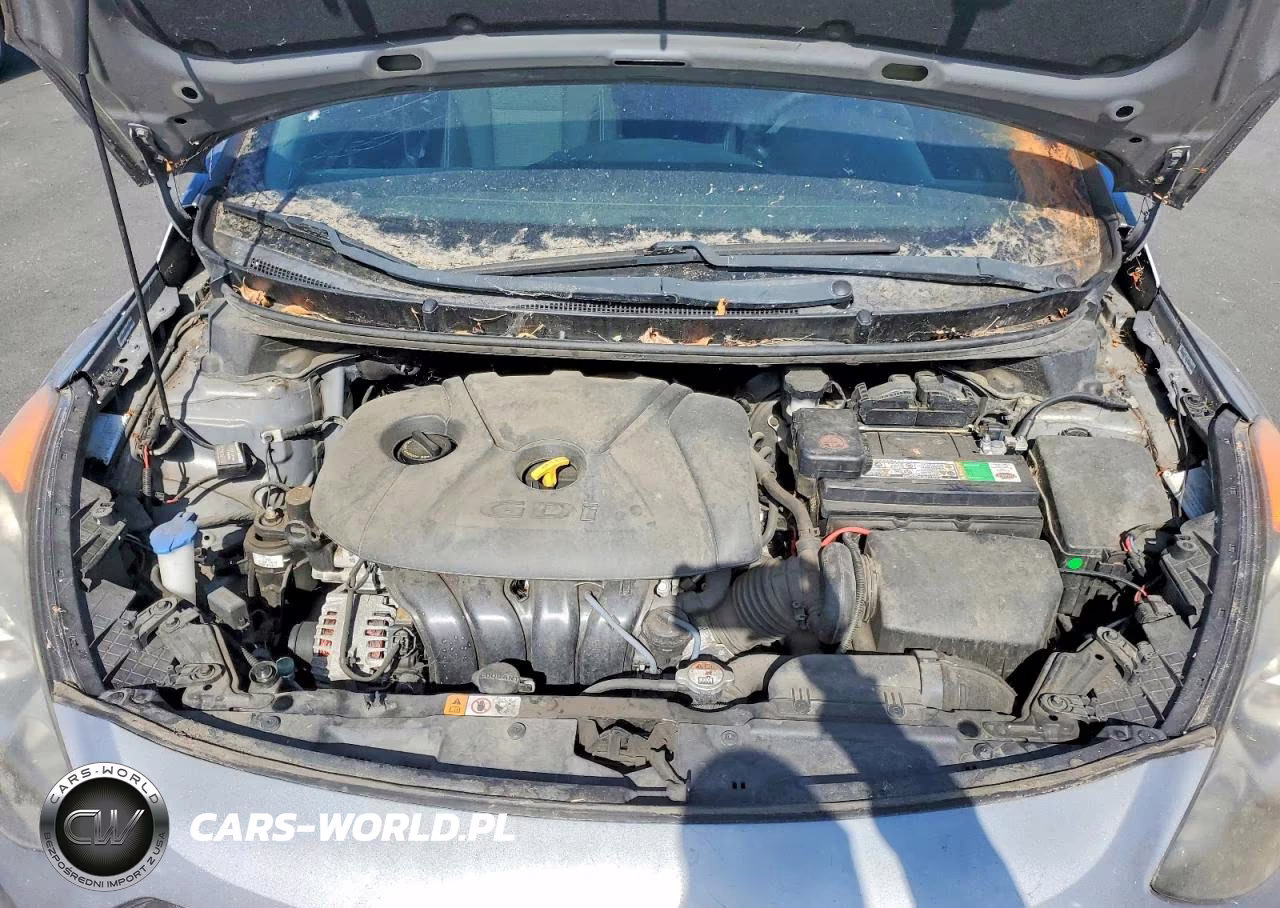 2014 Hyundai Elantra Gt Base VIN:KMHD35LH6EU193922 - 11