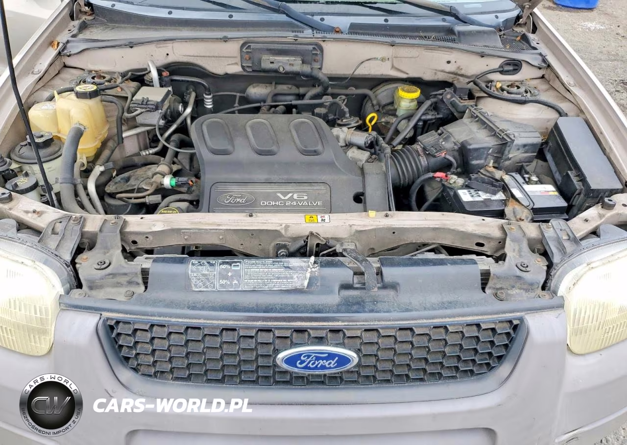 2001 Ford Escape Xls 103 Wb VIN:1FMYU02131KA46713 - 12