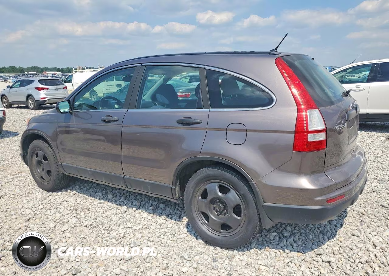 2010 Honda Cr-V Lx VIN:5J6RE4H34AL081657 - 2