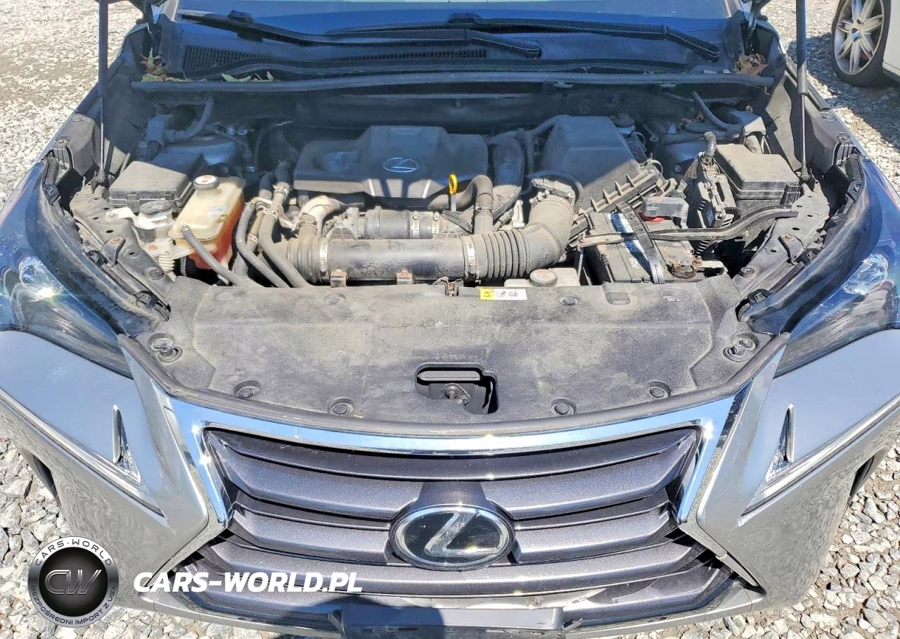 2017 Lexus Nx 200T Base VIN:JTJBARBZ8H2103802 - 12
