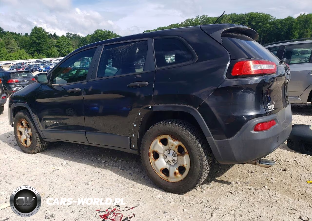 2014 Jeep Cherokee Sport VIN:1C4PJMAB4EW141824 - 2
