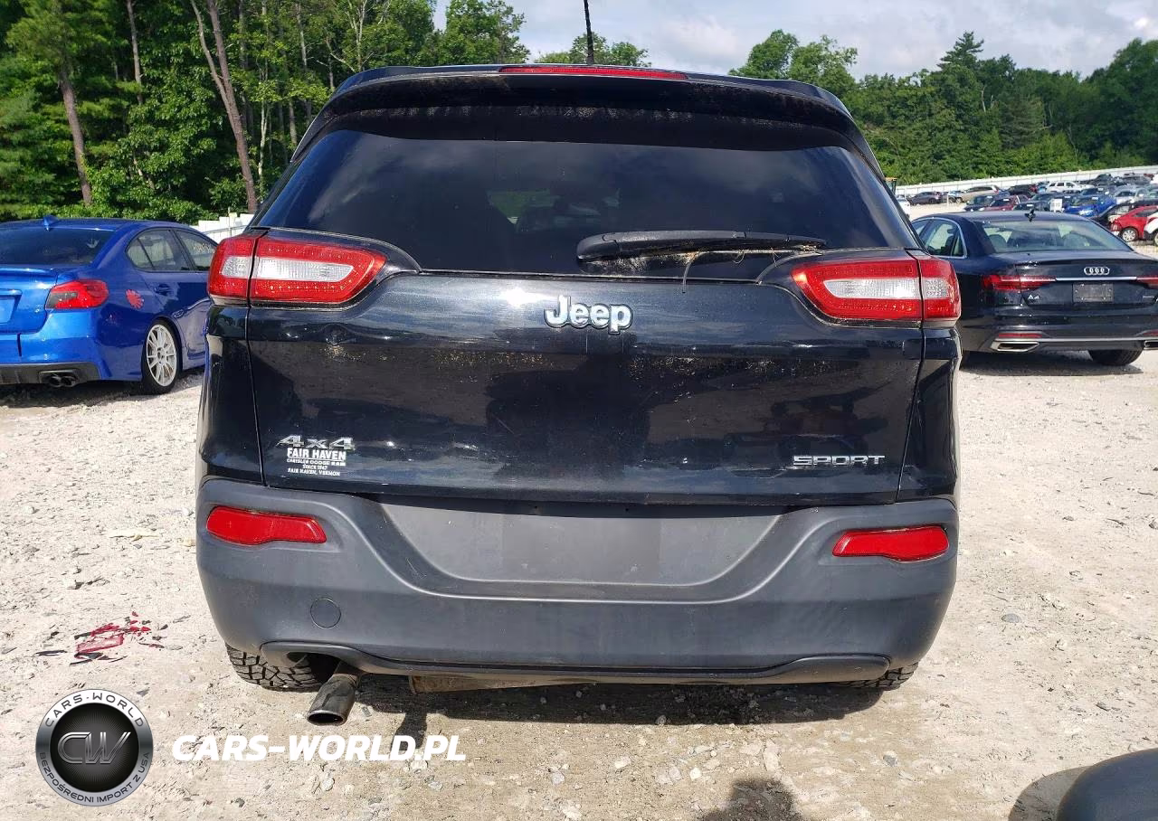 2014 Jeep Cherokee Sport VIN:1C4PJMAB4EW141824 - 6