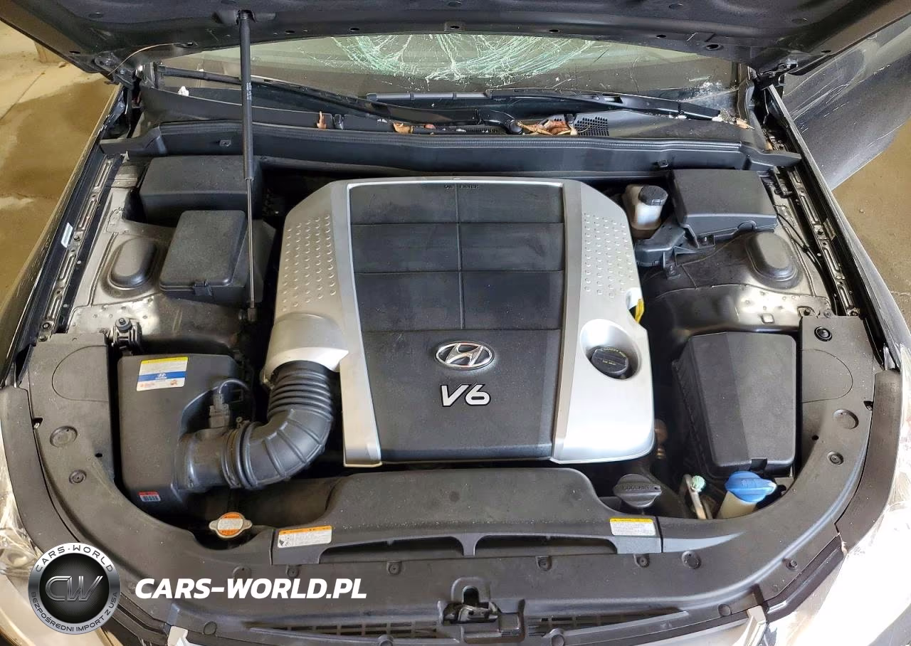 2011 Hyundai Genesis 3.8L VIN:KMHGC4DE3BU139162 - 11