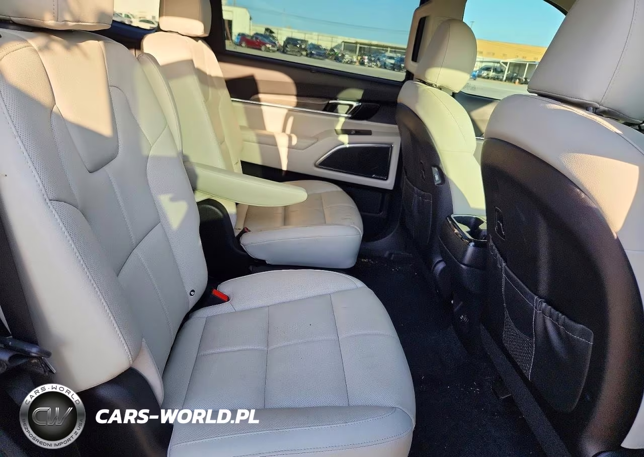 2021 Kia Telluride Sx VIN:5XYP5DHCXMG125254 - 11