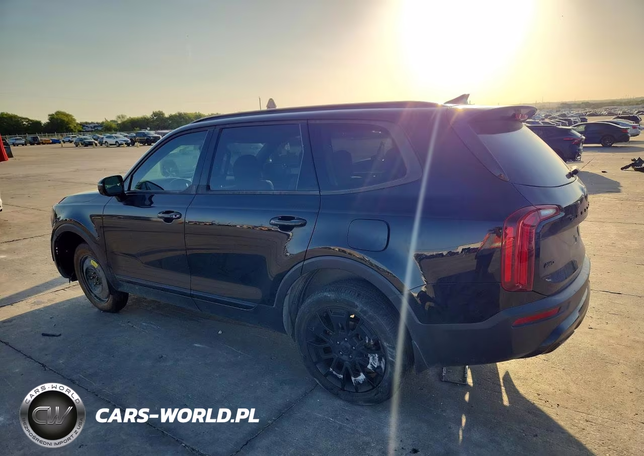 2021 Kia Telluride Sx VIN:5XYP5DHCXMG125254 - 2