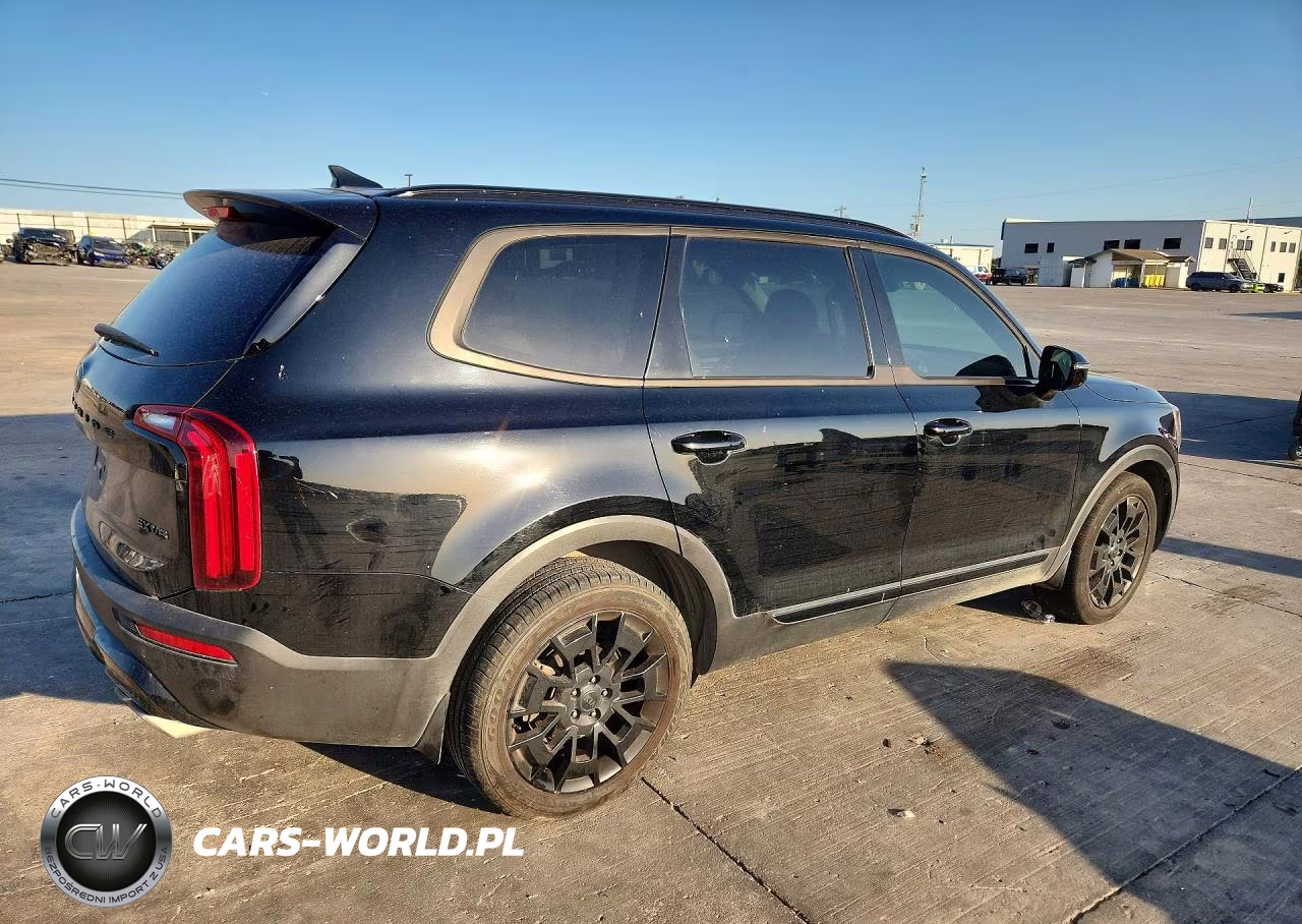 2021 Kia Telluride Sx VIN:5XYP5DHCXMG125254 - 3