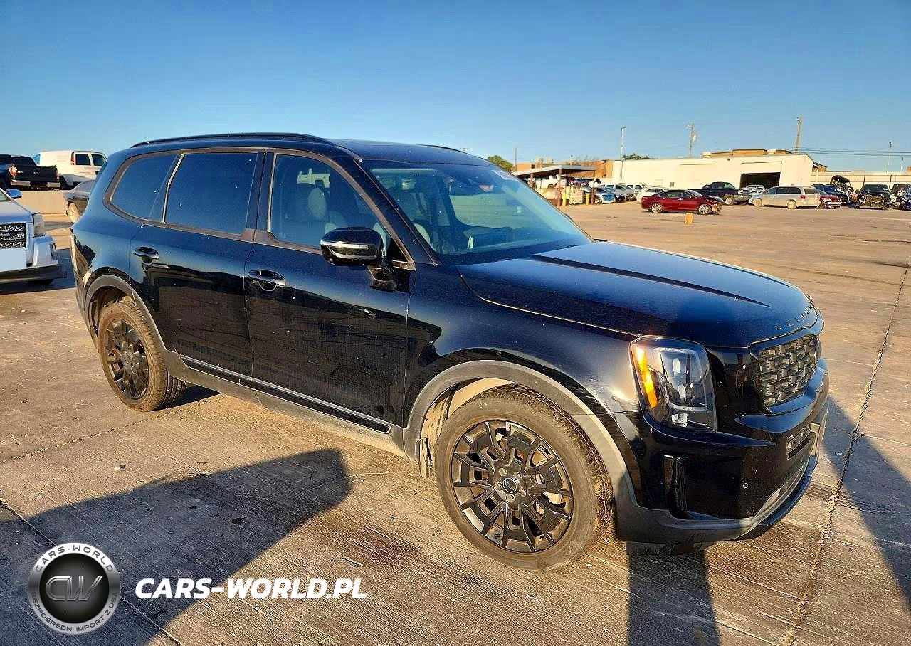 2021 Kia Telluride Sx VIN:5XYP5DHCXMG125254 - 4