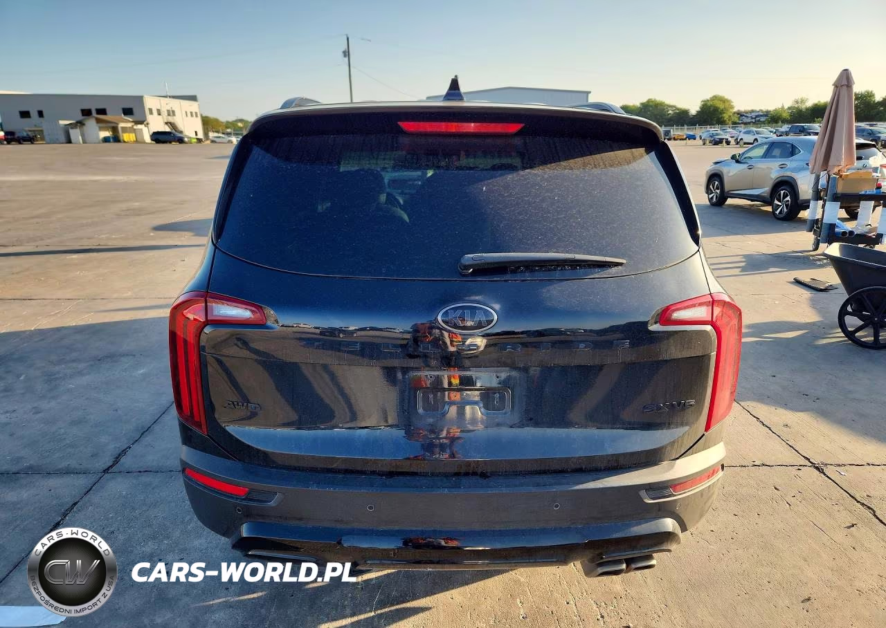 2021 Kia Telluride Sx VIN:5XYP5DHCXMG125254 - 6