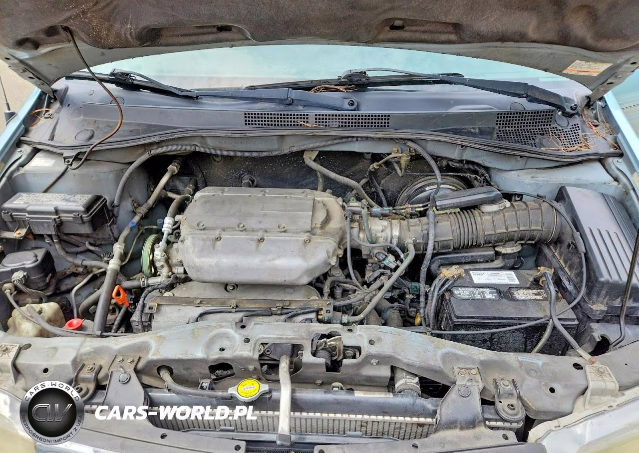 2004 Honda Odyssey Exl VIN:5FNRL18964B012832 - 12