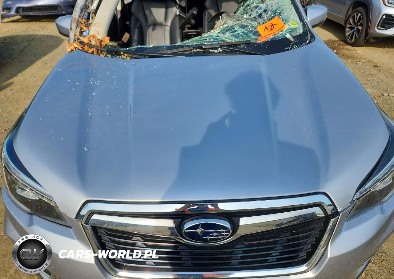 2019 Subaru Forester Limited VIN:JF2SKAUC8KH466276 - 12