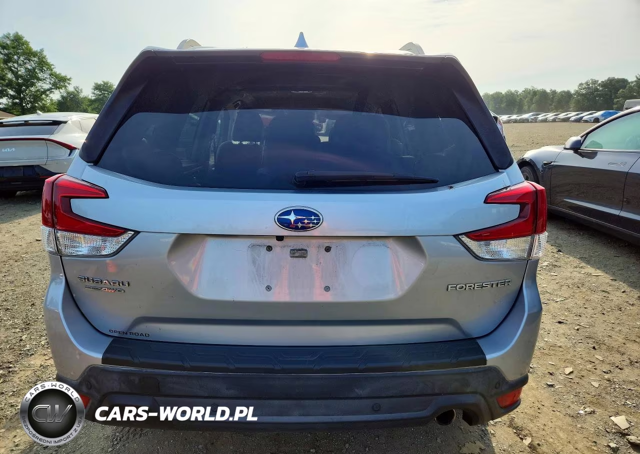 2019 Subaru Forester Limited VIN:JF2SKAUC8KH466276 - 6