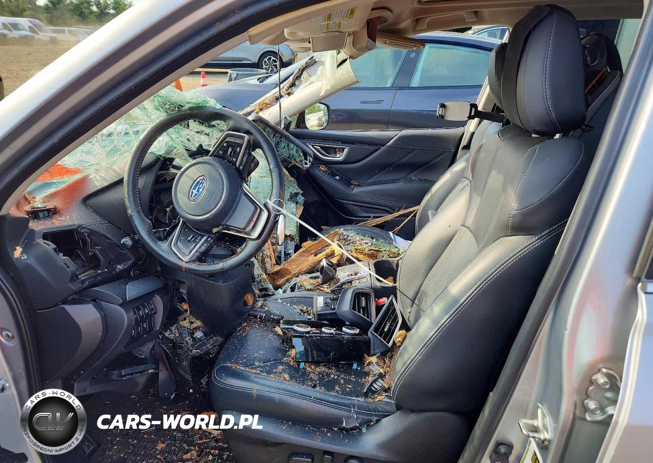 2019 Subaru Forester Limited VIN:JF2SKAUC8KH466276 - 7